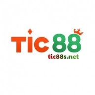 tic88snet