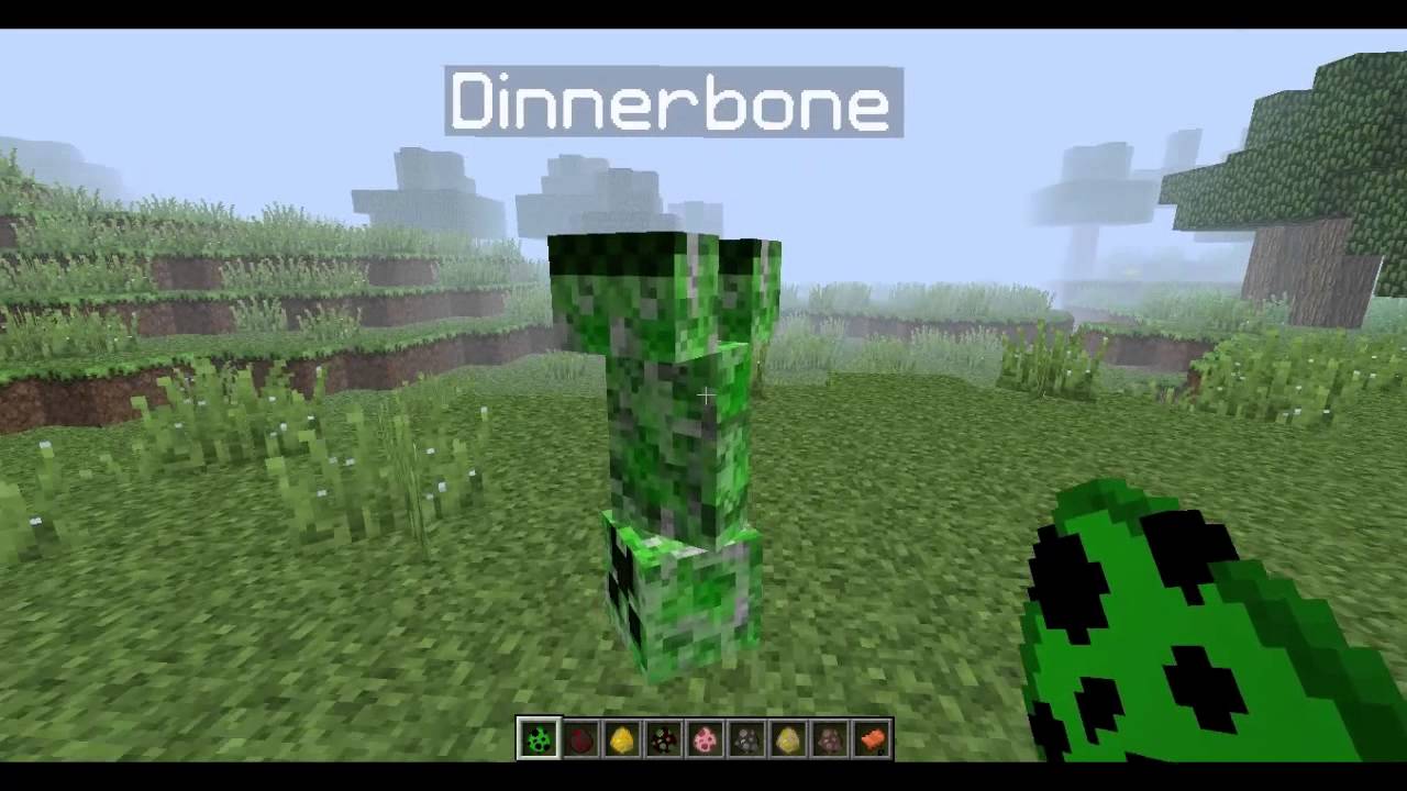 Майнкрафт команда чтобы не взрывали блоки. Диннербон майнкрафт. Dinnerbone бирка. Dinnerbone майнкрафт бирка. Grumm майнкрафт.